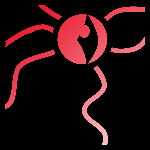 سازمان سیاه (Black System)