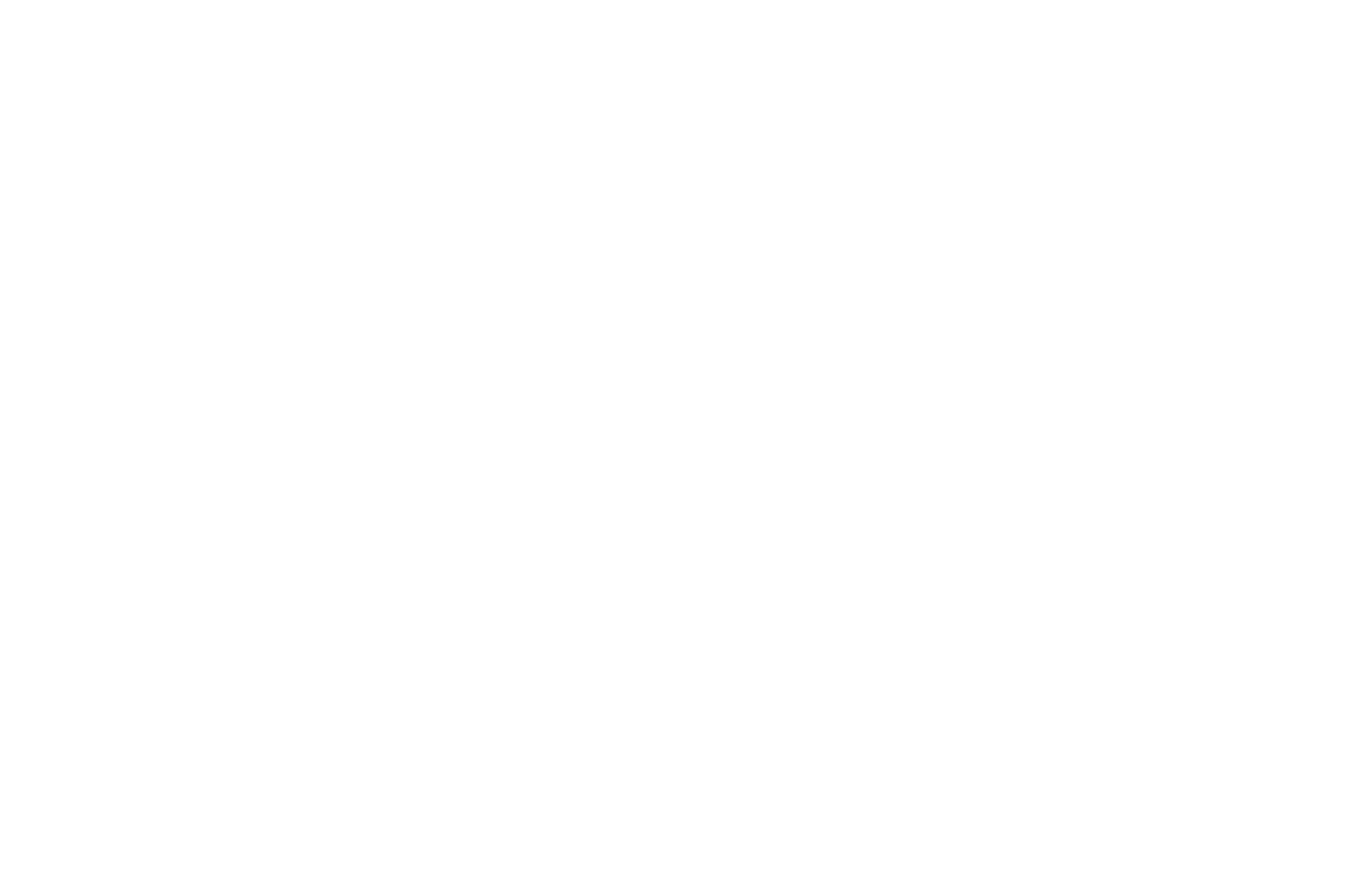 سرگذشت